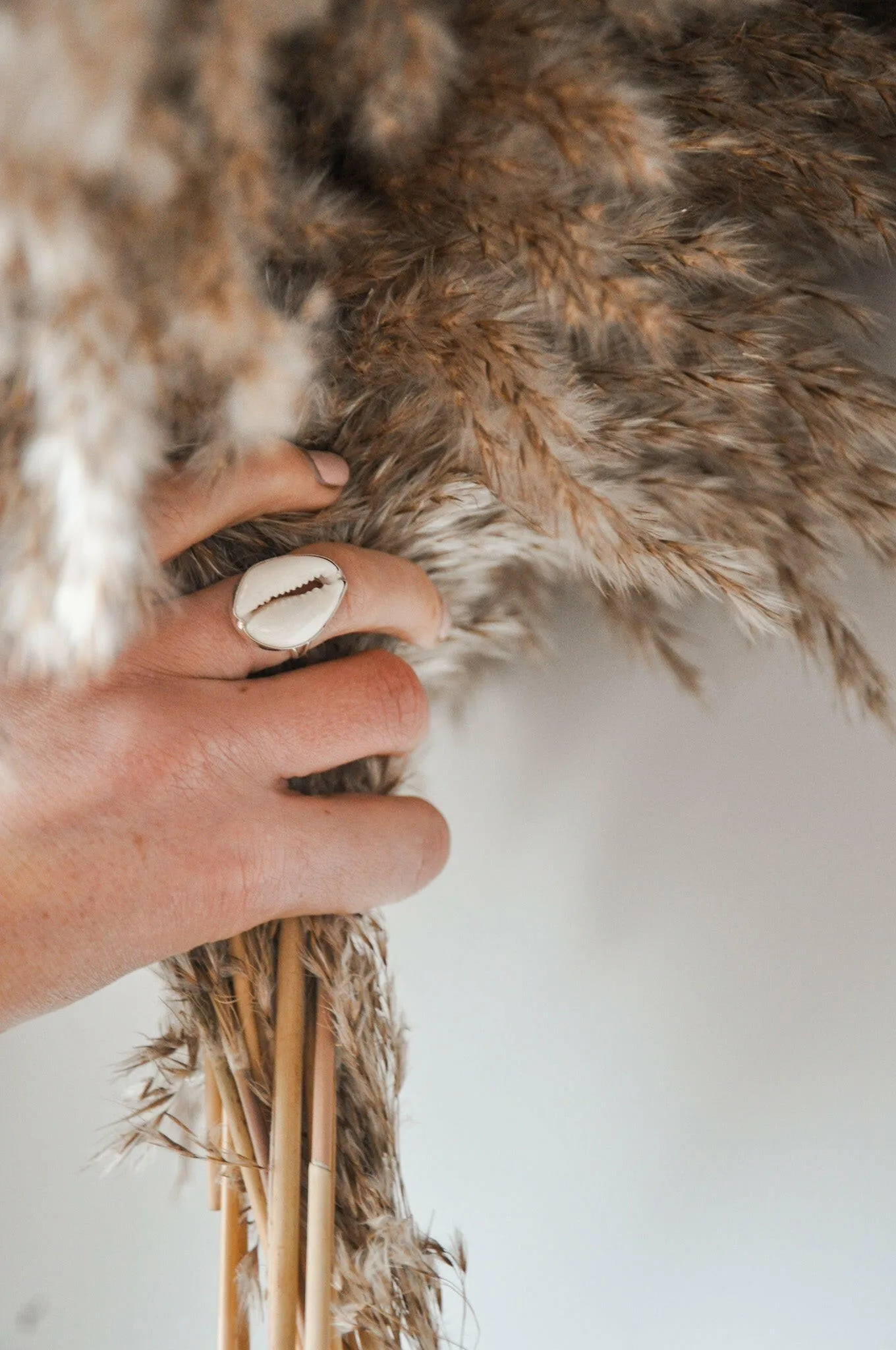 Classic Silver Cowrie Ring