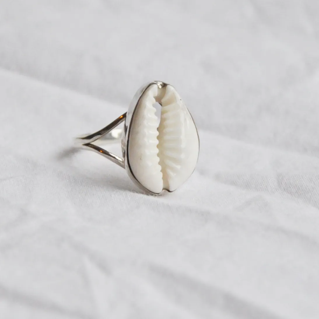 Classic Silver Cowrie Ring