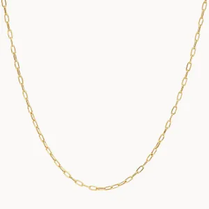 Fine Paperclip Chain Necklace in 10k Gold