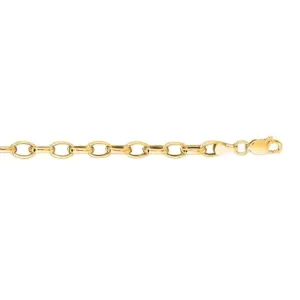 Sincerely Springer's 14k Yellow Gold 18" Rolo Chain Necklace