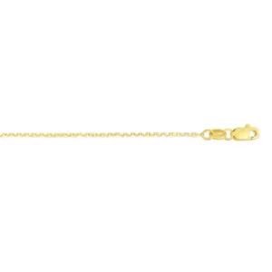 Sincerely Springer's 14k Yellow Gold 20" Cable Chain Necklace