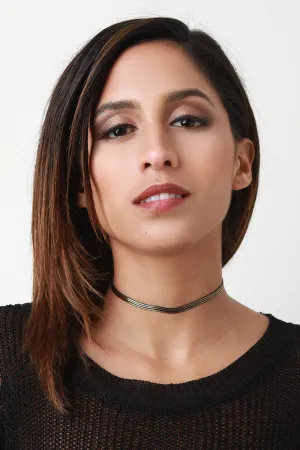 Striped Flat Snake Chain Choker